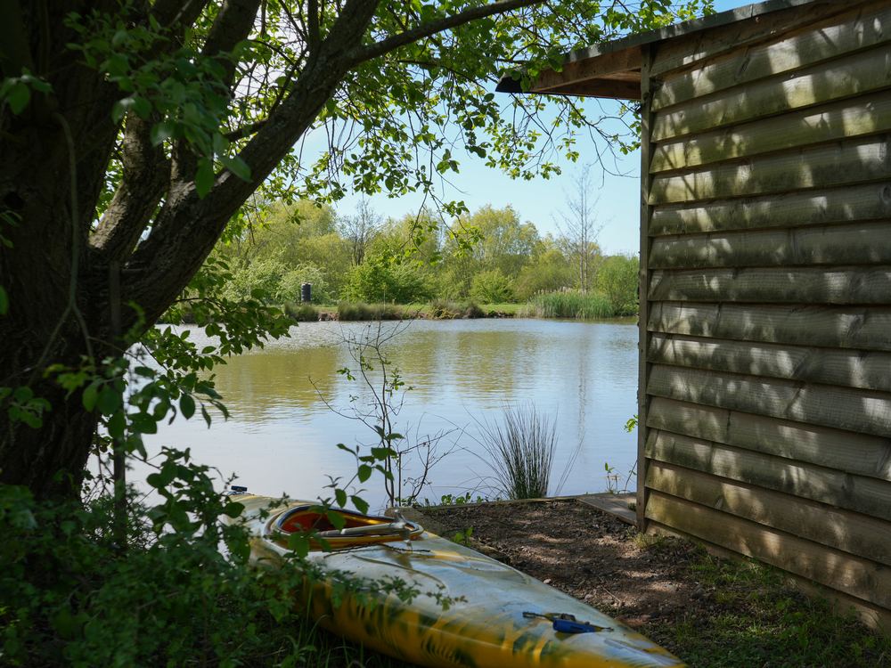 Lake seen from beneath a tree, beside the timber wall of a boathouse